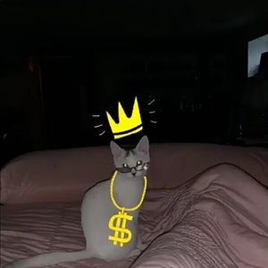 Meet your Posher, Daniel